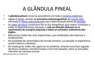 A GLÂNDULA PINEAL
• A glândula pineal conserva ascendência em todo o sistema endócrino.
• Ligada à mente, através de princípios eletromagnéticos do campo vital,
comanda as forças subconscientes sob a determinação direta da vontade.
• As redes nervosas constituem-lhe os fios telegráficos para ordens imediatas a
todos os departamentos celulares, e sob sua direção efetuam-se os
suprimentos de energias psíquicas a todos os armazéns autônomos dos
órgãos.
• Manancial criador dos mais importantes, suas atribuições são extensas e
fundamentais.
• Na qualidade de controladora do mundo emotivo, sua posição na experiência
sexual é básica e absoluta.
• De modo geral, todos nós, agora ou no pretérito, viciamos esse foco sagrado
de forças criadoras, transformando-o num ímã relaxado, entre as sensações
inferiores de natureza animal.
(Missionários da Luz, André Luiz)
 