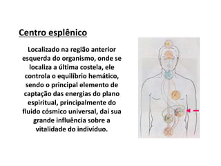 Centro esplênico
Localizado na região anterior
esquerda do organismo, onde se
localiza a última costela, ele
controla o equilíbrio hemático,
sendo o principal elemento de
captação das energias do plano
espiritual, principalmente do
fluido cósmico universal, daí sua
grande influência sobre a
vitalidade do indivíduo.
 