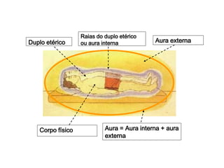 Duplo etérico
Raias do duplo etérico
ou aura interna
Aura = Aura interna + aura
externa
Aura externa
Corpo físico
 