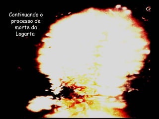 Continuando o
processo de
morte da
Lagarta.
 