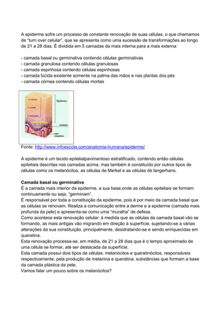 A epiderme sofre um processo de constante renovação de suas células, o que chamamos
de “turn over celular”, que se apresenta como uma sucessão de transformações ao longo
de 21 a 28 dias. É dividida em 5 camadas da mais interna para a mais externa:
- camada basal ou germinativa contendo células germinativas
- camada granulosa contendo células granulosas
- camada espinhosa contendo células espinhosas
- camada lúcida existente somente na palma das mãos e nas plantas dos pés
- camada córnea contendo células mortas
Fonte: http://www.infoescola.com/anatomia-humana/epiderme/
A epiderme é um tecido epitelialpavimentoso estratificado, contendo então células
epiteliais descritas nas camadas acima, mas também é constituído por outros tipos de
células como os melanócitos, as células de Merkel e as células de langerhans.
Camada basal ou germinativa
É a camada mais interior da epiderme, a sua base,onde as células epiteliais se formam
continuamente ou seja, “germinam”.
É responsável por toda a constituição da epiderme, pois é por meio da camada basal que
as células se renovam. Realiza a comunicação entre a derme e a epiderme (camada mais
profunda da pele) e apresenta-se como uma “muralha” de defesa.
Como acontece esta renovação celular: à medida que as células da camada basal vão se
formando, as mais antigas vão migrando em direção à superfície, sujeitando-se a várias
alterações da sua constituição, principalmente, desidratando-se e sendo enriquecidas em
queratina.
Esta renovação processa-se, em média, de 21 a 28 dias que é o tempo aproximado de
uma célula se formar, até ser destacada da superfície.
Esta camada possui dois tipos de células: melanócitos e queratinócitos, responsáveis
respectivamente, pela produção de melanina e queratina, substâncias que formam a base
da camada plástica da pele.
Vamos falar um pouco sobre os melanócitos?
 
