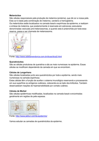 Melanócitos
São células responsáveis pela produção de melanina (proteína), que dá cor a nossa pele.
Esta cor é dada pela combinação de melanina, caroteno e hemoglobina.
Os melanócitos estão localizados na camada basal e espinhosa da epiderme, e realizam
a síntese da melanina, que posteriormente é reservada em estruturas vesiculares
denominadas vesículas pré-melanossomas, e quando esta é preenchida por toda essa
reserva, passa a ser chamada de melanossoma.
Fonte: http://www.adeliamendonca.com.br/dicas/dica2.html
Queratinócitos
São as células produtoras de queratina e são as mais numerosas na epiderme. Essas
células se modificam dependendo da camada em que se encontram.
Células de Langerhans
São células localizadas junto aos queratinócitos por toda a epiderme, sendo mais
numerosas na camada espinhosa.
Estas células têm a função de auxiliar o sistema imunológico reservando e processando
em sua superfície os antígenos cutâneos, colocando-os ao lado dos linfócitos. Também
desencadeiam reações de hipersensibilidade por contato cutâneo.
Células de Merkel
São células epidérmicas modificadas, localizadas na camada basal e encontradas
geralmente em regiões de pele espessa.
Fonte: http://www.jaldun.com/la-epidermis/
Vamos estudar as camadas de queratinócitos da epiderme.
 