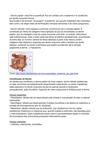 - Derme papilar: mais fina e superficial, fica em contato com a epiderme e é constituída
por tecido conjuntivo frouxo.
Sua função é de fornecer “ancoragem” à epiderme, ser suporte metabólico (de nutrientes),
bem como o de alojar redes de terminações nervosas sensoriais e de vasos sanguíneos.
- Derme reticular: mais espessa e profunda, encontra-se sob a camada papilar. É
constituída por fibras de colágeno mais espessas do que as encontradas na derme
papilar, que se interligam umas às outras formando uma forte, no entanto, deformável,
rede tridimensional, onde a maior parte das fibras se distribui paralelamente, encontrando-
se entre elas um número variável de fibras elásticas.A parte mais interna contém
colágeno mais disperso e separado por tecido conjuntivo solto e também por tecido
adiposo, contendo os canais sudoríparos que podem se estender até à camada
subjacente à derme – a hipoderme.
Fonte: http://www.reginaambar.com.br/cursos/artigo_anatomia_da_pele.html
Constituição da Derme
As células que constituem a derme podem ter duas origens, serem células residenciais,
ou seja, encontram-se habitualmente disseminadas neste tecido, ou serem migratórias;
estas aparecem no tecido conjuntivo da derme apenas quando é necessário,
principalmente, ação imunitária, migrando de vasos sanguíneos e linfáticos para a derme.
Células residentes:
- Fibroblastos: células são as responsáveis pela síntese e manutenção de todo o material
extracelular
- Macrófagos: células que desempenham funções imunitárias e de defesa do organismo à
entrada de microrganismos (por ex. bactérias)
- Mastócitos: células maiores que as anteriores, cujo citoplasma é rico em certas
substâncias (histamina e a heparina) que, quando sujeitas a estímulos, são liberadas para
o meio extracelular. Estas substâncias atuam sobre a permeabilidade capilar e contração
da musculatura lisa, provocando processos inflamatórios locais.
Células migrantes:
- Linfócitos, plasmócitos, eosinófilos.
 