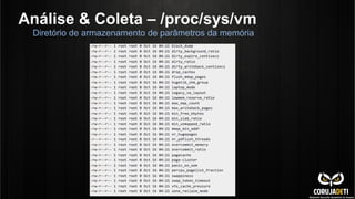 Análise & Coleta – /proc/sys/vm
Diretório de armazenamento de parâmetros da memória
 