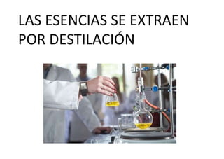 LAS ESENCIAS SE EXTRAEN
POR DESTILACIÓN
 