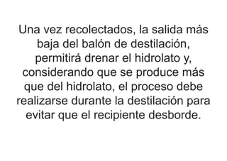 Una vez recolectados, la salida más
baja del balón de destilación,
permitirá drenar el hidrolato y,
considerando que se produce más
que del hidrolato, el proceso debe
realizarse durante la destilación para
evitar que el recipiente desborde.
 