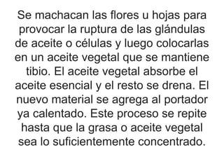 Se machacan las flores u hojas para
provocar la ruptura de las glándulas
de aceite o células y luego colocarlas
en un aceite vegetal que se mantiene
tibio. El aceite vegetal absorbe el
aceite esencial y el resto se drena. El
nuevo material se agrega al portador
ya calentado. Este proceso se repite
hasta que la grasa o aceite vegetal
sea lo suficientemente concentrado.
 