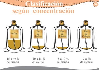 Clasificación 30
según concentración
Eau
de
Parfum
Eau
de
Toilette
Eau
de
Cologne
Parfum
15 a 40 %
de esencia
10 a 15 % 5 a 10 %
de esencia
2 a 5%
de esenciade esencia
 