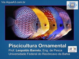 Texto
Piscicultura Ornamental
Prof. Leopoldo Barreto, Eng. de Pesca
Universidade Federal do Recôncavo da Bahia
Via AquaA3.com.br
 