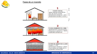 SEGURIDAD - SALUD - MEDIO AMBIENTE BRIGADAS DE EMERGENCIA 137
 