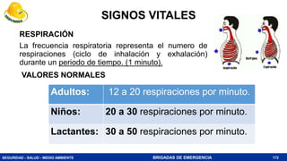 SEGURIDAD - SALUD - MEDIO AMBIENTE BRIGADAS DE EMERGENCIA 172
RESPIRACIÓN
La frecuencia respiratoria representa el numero de
respiraciones (ciclo de inhalación y exhalación)
durante un periodo de tiempo. (1 minuto).
Adultos: 12 a 20 respiraciones por minuto.
Niños: 20 a 30 respiraciones por minuto.
Lactantes: 30 a 50 respiraciones por minuto.
VALORES NORMALES
SIGNOS VITALES
 