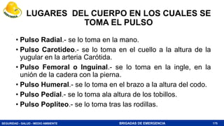 SEGURIDAD - SALUD - MEDIO AMBIENTE BRIGADAS DE EMERGENCIA
LUGARES DEL CUERPO EN LOS CUALES SE
TOMA EL PULSO
• Pulso Radial.- se lo toma en la mano.
• Pulso Carotideo.- se lo toma en el cuello a la altura de la
yugular en la arteria Carótida.
• Pulso Femoral o Inguinal.- se lo toma en la ingle, en la
unión de la cadera con la pierna.
• Pulso Humeral.- se lo toma en el brazo a la altura del codo.
• Pulso Pedial.- se lo toma ala altura de los tobillos.
• Pulso Poplíteo.- se lo toma tras las rodillas.
175
 