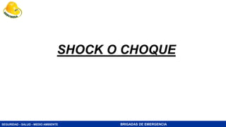 SEGURIDAD - SALUD - MEDIO AMBIENTE BRIGADAS DE EMERGENCIA
SHOCK O CHOQUE
 