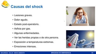 SEGURIDAD - SALUD - MEDIO AMBIENTE BRIGADAS DE EMERGENCIA
Causas del shock
• Lesiones graves.
• Dolor agudo.
• Estado post-operatorio.
• Asfixia por gas.
• Algunas enfermedades.
• Ver las heridas propias o de otra persona.
• Exposición a temperaturas extremas.
• Emociones intensas.
189
 