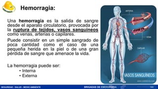 SEGURIDAD - SALUD - MEDIO AMBIENTE BRIGADAS DE EMERGENCIA
Hemorragia:
Una hemorragia es la salida de sangre
desde el aparato circulatorio, provocada por
la ruptura de tejidos, vasos sanguíneos
como venas, arterias o capilares.
Puede consistir en un simple sangrado de
poca cantidad como el caso de una
pequeña herida en la piel o de una gran
pérdida de sangre que amenace la vida.
La hemorragia puede ser:
• Interna
• Externa
193
 