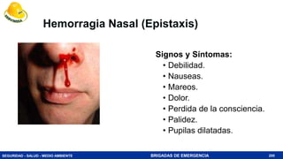 SEGURIDAD - SALUD - MEDIO AMBIENTE BRIGADAS DE EMERGENCIA
Hemorragia Nasal (Epistaxis)
200
Signos y Síntomas:
• Debilidad.
• Nauseas.
• Mareos.
• Dolor.
• Perdida de la consciencia.
• Palidez.
• Pupilas dilatadas.
 