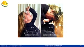 SEGURIDAD - SALUD - MEDIO AMBIENTE BRIGADAS DE EMERGENCIA 201
 