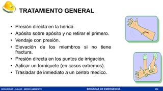 SEGURIDAD - SALUD - MEDIO AMBIENTE BRIGADAS DE EMERGENCIA
TRATAMIENTO GENERAL
204
• Presión directa en la herida.
• Apósito sobre apósito y no retirar el primero.
• Vendaje con presión.
• Elevación de los miembros si no tiene
fractura.
• Presión directa en los puntos de irrigación.
• Aplicar un torniquete (en casos extremos).
• Trasladar de inmediato a un centro medico.
 