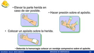 SEGURIDAD - SALUD - MEDIO AMBIENTE BRIGADAS DE EMERGENCIA
• Detenida la hemorragia colocar un vendaje compresivo sobre el apósito.
206
• Elevar la parte herida en
caso de ser posible.
• Hacer presión sobre el apósito.
• Colocar un apósito sobre la herida.
 