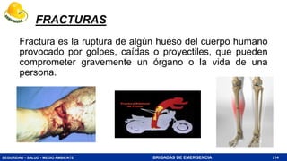 SEGURIDAD - SALUD - MEDIO AMBIENTE BRIGADAS DE EMERGENCIA
FRACTURAS
Fractura es la ruptura de algún hueso del cuerpo humano
provocado por golpes, caídas o proyectiles, que pueden
comprometer gravemente un órgano o la vida de una
persona.
214
 
