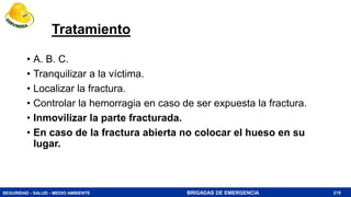 SEGURIDAD - SALUD - MEDIO AMBIENTE BRIGADAS DE EMERGENCIA
Tratamiento
• A. B. C.
• Tranquilizar a la víctima.
• Localizar la fractura.
• Controlar la hemorragia en caso de ser expuesta la fractura.
• Inmovilizar la parte fracturada.
• En caso de la fractura abierta no colocar el hueso en su
lugar.
219
 