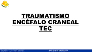 SEGURIDAD - SALUD - MEDIO AMBIENTE BRIGADAS DE EMERGENCIA
TRAUMATISMO
ENCÉFALO CRANEAL
TEC
 