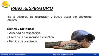 SEGURIDAD - SALUD - MEDIO AMBIENTE BRIGADAS DE EMERGENCIA
PARO RESPIRATORIO
Es la ausencia de respiración y puede pasar por diferentes
causas.
230
Signos y Síntomas:
• Ausencia de respiración.
• Color de la piel morado o cianótico.
• Perdida de conciencia.
 
