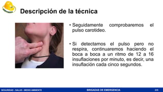 SEGURIDAD - SALUD - MEDIO AMBIENTE BRIGADAS DE EMERGENCIA
Descripción de la técnica
• Seguidamente comprobaremos el
pulso carotideo.
• Si detectamos el pulso pero no
respira, continuaremos haciendo el
boca a boca a un ritmo de 12 a 16
insuflaciones por minuto, es decir, una
insuflación cada cinco segundos.
235
 