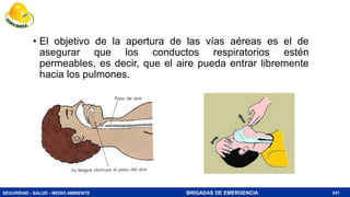 SEGURIDAD - SALUD - MEDIO AMBIENTE BRIGADAS DE EMERGENCIA 241
• El objetivo de la apertura de las vías aéreas es el de
asegurar que los conductos respiratorios estén
permeables, es decir, que el aire pueda entrar libremente
hacia los pulmones.
 