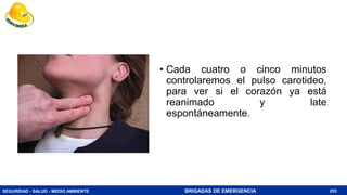 SEGURIDAD - SALUD - MEDIO AMBIENTE BRIGADAS DE EMERGENCIA 253
• Cada cuatro o cinco minutos
controlaremos el pulso carotideo,
para ver si el corazón ya está
reanimado y late
espontáneamente.
 