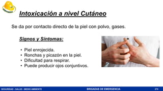SEGURIDAD - SALUD - MEDIO AMBIENTE BRIGADAS DE EMERGENCIA
Intoxicación a nivel Cutáneo
Se da por contacto directo de la piel con polvo, gases.
274
• Piel enrojecida.
• Ronchas y picazón en la piel.
• Dificultad para respirar.
• Puede producir ojos conjuntivos.
Signos y Síntomas:
 