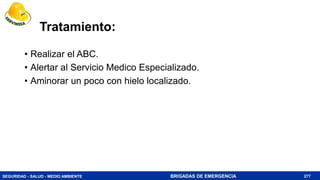 SEGURIDAD - SALUD - MEDIO AMBIENTE BRIGADAS DE EMERGENCIA
Tratamiento:
• Realizar el ABC.
• Alertar al Servicio Medico Especializado.
• Aminorar un poco con hielo localizado.
277
 