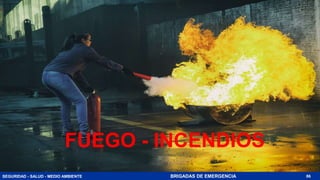 SEGURIDAD - SALUD - MEDIO AMBIENTE BRIGADAS DE EMERGENCIA
FUEGO - INCENDIOS
86
 