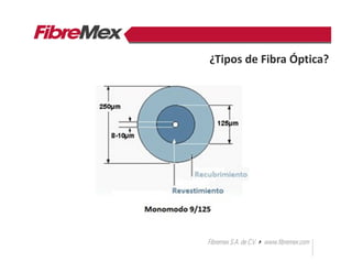¿Tipos de Fibra Óptica?
 