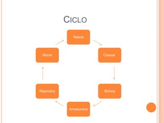 CICLO
Nasce

Morre

Cresce

Reproduz

Brinca

Amadurece

 