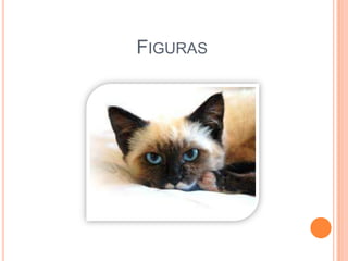 FIGURAS

 