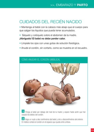 123
>>. EMBARAZO Y PARTO
Cuidados del recién nacido
• Mantenga al bebé con la cabeza más abajo que el cuerpo para
que salgan los líquidos que pueda tener acumulados.
• Séquelo y colóquelo sobre el abdomen de la madre.
¡Abríguelo! El bebé no debe perder calor.
• Límpiele los ojos con unas gotas de solución fisiológica.
• Anude el cordón, sin cortarlo, como se muestra en el recuadro.
CÓMO ANUDAR EL CORDÓN UMBILICAL
1 Ponga al bebé por debajo del nivel de la madre y espere hasta sentir que han
cesado los latidos del cordón.
2 Haga un nudo a diez centímetros del bebé y otro a diezcentímetros del anterior.
El médico cortará el cordón en el espacio que queda entre ambos.
 