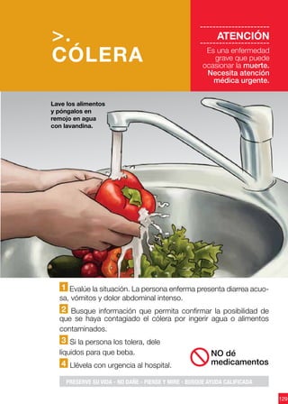 129
1 Evalúe la situación. La persona enferma presenta diarrea acuo-
sa, vómitos y dolor abdominal intenso.
2 Busque información que permita confirmar la posibilidad de
que se haya contagiado el cólera por ingerir agua o alimentos
contaminados.
3 Si la persona los tolera, dele
líquidos para que beba.
4 Llévela con urgencia al hospital.
Lave los alimentos
y póngalos en
remojo en agua
con lavandina.
NO dé
medicamentos
>.
CÓLERA
----------------------
ATENCIÓN
----------------------
Es una enfermedad
grave que puede
ocasionar la muerte.
Necesita atención
médica urgente.
PRESERVE SU VIDA - NO DAÑE - PIENSE Y MIRE - BUSQUE AYUDA CALIFICADA
 