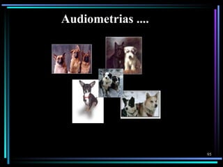 Audiometrias ....




                    95
 
