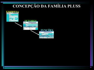 129
EMPRESA
SETORES
FUNÇÕES
CONCEPÇÃO DA FAMÍLIA PLUSS
 