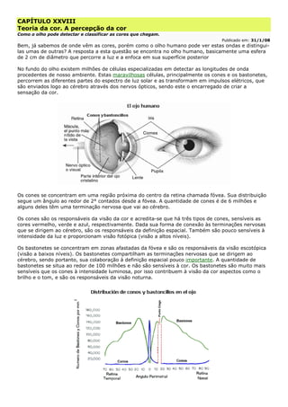 CAPÍTULO XXVIII
Teoria da cor. A percepção da cor
Como o olho pode detectar e classificar as cores que chegam.
Publicado em: 31/1/08
Bem, já sabemos de onde vêm as cores, porém como o olho humano pode ver estas ondas e distingui-
las umas de outras? A resposta a esta questão se encontra no olho humano, basicamente uma esfera
de 2 cm de diâmetro que percorre a luz e a enfoca em sua superfície posterior
No fundo do olho existem milhões de células especializadas em detectar as longitudes de onda
procedentes de nosso ambiente. Estas maravilhosas células, principalmente os cones e os bastonetes,
percorrem as diferentes partes do espectro de luz solar e as transformam em impulsos elétricos, que
são enviados logo ao cérebro através dos nervos ópticos, sendo este o encarregado de criar a
sensação da cor.
Os cones se concentram em uma região próxima do centro da retina chamada fóvea. Sua distribuição
segue um ângulo ao redor de 2° contados desde a fóvea. A quantidade de cones é de 6 milhões e
alguns deles têm uma terminação nervosa que vai ao cérebro.
Os cones são os responsáveis da visão da cor e acredita-se que há três tipos de cones, sensíveis as
cores vermelho, verde e azul, respectivamente. Dada sua forma de conexão às terminações nervosas
que se dirigem ao cérebro, são os responsáveis da definição espacial. Também são pouco sensíveis à
intensidade da luz e proporcionam visão fotópica (visão a altos níveis).
Os bastonetes se concentram em zonas afastadas da fóvea e são os responsáveis da visão escotópica
(visão a baixos níveis). Os bastonetes compartilham as terminações nervosas que se dirigem ao
cérebro, sendo portanto, sua colaboração à definição espacial pouco importante. A quantidade de
bastonetes se situa ao redor de 100 milhões e não são sensíveis à cor. Os bastonetes são muito mais
sensíveis que os cones à intensidade luminosa, por isso contribuem à visão da cor aspectos como o
brilho e o tom, e são os responsáveis da visão noturna.
 