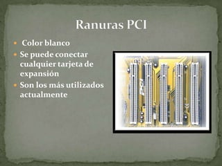  Color blanco
 Se puede conectar
  cualquier tarjeta de
  expansión
 Son los más utilizados
  actualmente
 