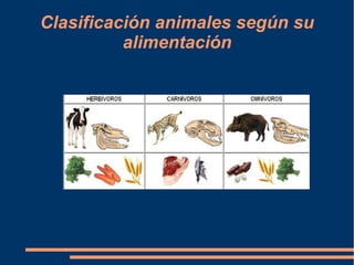 Clasificación animales según su
alimentación

 