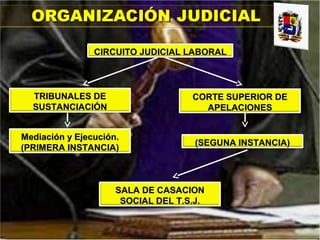 CIRCUITO JUDICIAL LABORALCIRCUITO JUDICIAL LABORAL
Mediación y Ejecución.Mediación y Ejecución.
(PRIMERA INSTANCIA)(PRIMERA INSTANCIA)
(SEGUNA INSTANCIA)(SEGUNA INSTANCIA)
TRIBUNALES DETRIBUNALES DE
SUSTANCIACIÓNSUSTANCIACIÓN
CORTE SUPERIOR DECORTE SUPERIOR DE
APELACIONESAPELACIONES
SALA DE CASACIONSALA DE CASACION
SOCIAL DEL T.S.J.SOCIAL DEL T.S.J.
 
