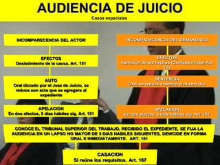 AUDIENCIA DE JUICIOAUDIENCIA DE JUICIO
Casos especialesCasos especiales
 
