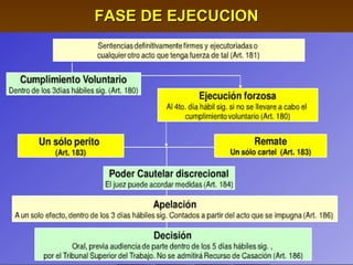 FASE DE EJECUCIONFASE DE EJECUCION
 