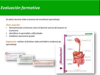 Se aplica durante todo el proceso de enseñanza aprendizaje. 
Tiene como fin: 
•Retroalimentar al alumno como al docente acerca del avance en el proceso 
•Identificar lo aprendido y dificultades 
•Establecer panorama grupal 
Sugerencia: realizar al finalizar cada actividad o evidencia de aprendizaje 
Evaluación formativa  