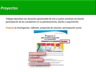 Trabajo educativo con duración aproximada de tres a cuatro semanas con fuerte participación de los estudiantes en su planteamiento, diseño y seguimiento. 
Propicia la investigación, reflexión, propuesta de solución, participación social. 
Proyectos 
Ámbito  
