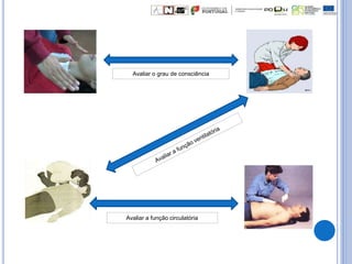 Avaliar o grau de consciência
Avaliar a função circulatória
 