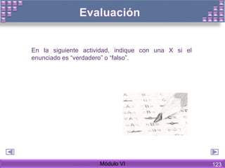 En la siguiente actividad, indique con una X si el
enunciado es “verdadero” o “falso”.
Módulo VI 123
 